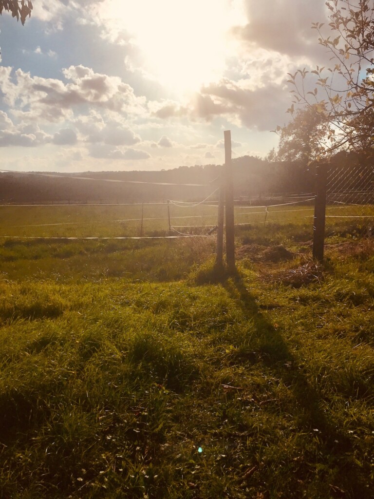 Haselberg